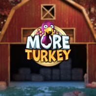 More Turkey icon